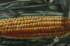 "Corn Wall" 24 x 48 inches. oil on linen on wood panel.