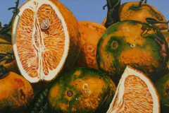 "Oranges Rhaina Elizabeth II" 22 x 48 inches. oil on linen