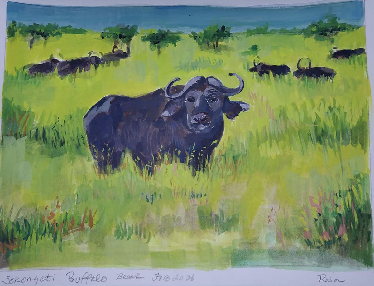 "African buffalo, Serengeti" 9x12 inches, Gouaches