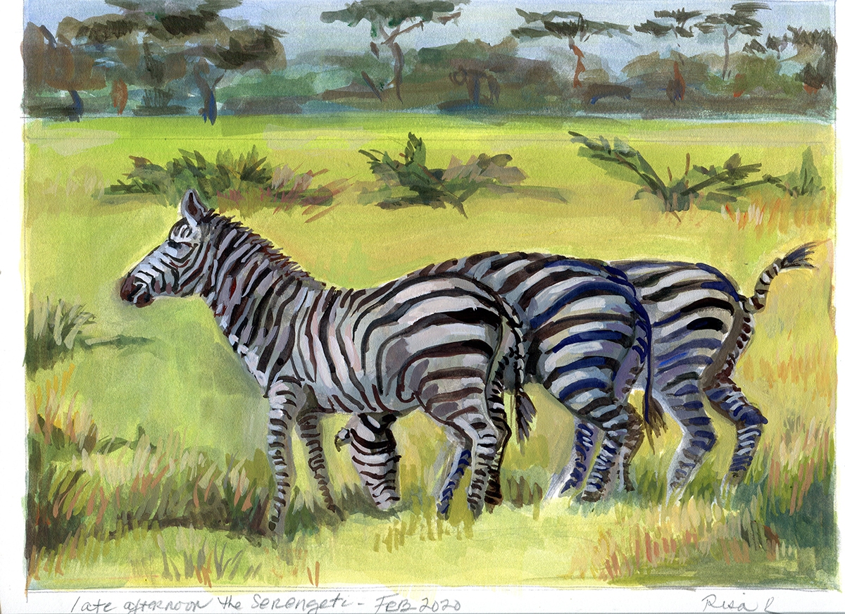 "Serengeti Zebras " 9x12 inches, Gouaches